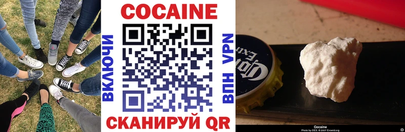 Купить  Хотьково  COCAIN Fish Scale 