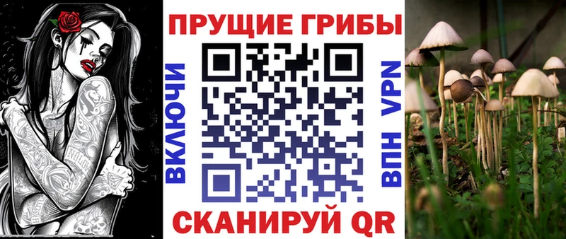 Галлюциногенные грибы Psilocybe  Купить закладки  Хотьково 
